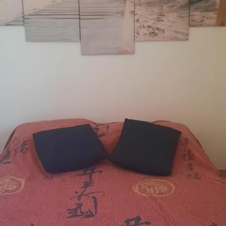Petite Camargue Aigues-Mortes